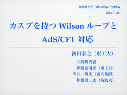 カスプを持つ Wilson ループと AdS/CFT 対応