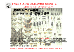 里山の蛾とその仲間 Moth Hunter 松井悠樹の世界