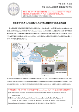 日本産マウスのゲノム解読からみえてきた実験用