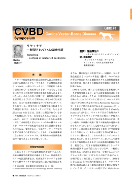 PDFダウンロード（1795KB） - CVBD（犬の節足動物媒介性疾患）