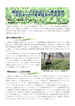 豊橋市 内藤 貴教さん 施設野菜（コマツナ） （PDFファイル:455kb）