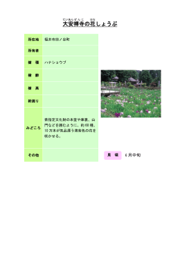 大安禅寺の花しょうぶ（PDF形式 98キロバイト）