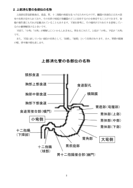 2．上部消化管の各部位の名称