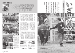 2-3ページ いざ初陣の場へ 平庭闘牛大会つつじ場所開催