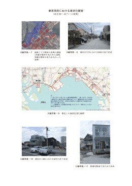 東京湾岸における液状化被害