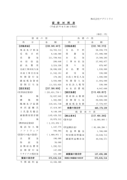 平成27年6月期 決算公告(貸借対照表)