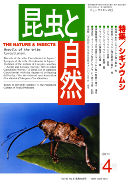 昆虫と自然 2011年4月臨時増刊号 (立ち読み)