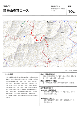 珍神山登頂コース 10