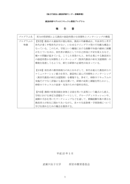 報 告 書 平成 25 年 3 月 武庫川女子大学 西宮市