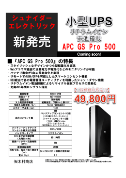 APC GS Pro 500