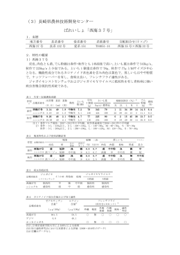 （3）長崎県農林技術開発センター ばれいしょ「西海37号」