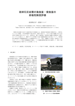 琉球石灰岩層の海食崖・侵食崖の 崩壊危険度評価