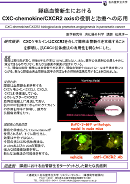 膵癌血管新生における CXC-chemokine/CXCR2 axisの役割と治療への