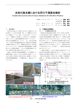 太田川放水路における河口干潟保全検討