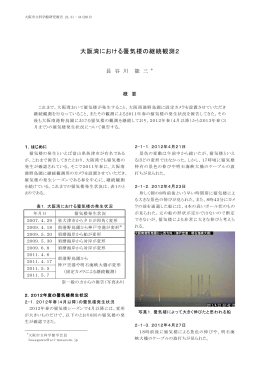 大阪湾における蜃気楼の継続観測2