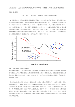 塩基対のプロトン移動における温度依存性と 同位体効果