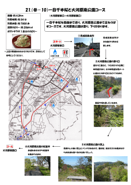 21.（参－10）一目千本桜と大河原南公園コース