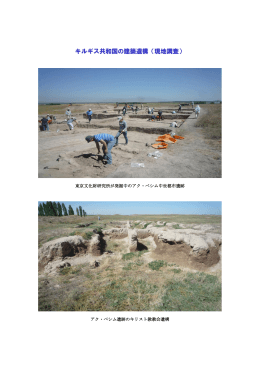キルギス共和国の建築遺構（現地調査）