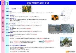 愛媛柑橘品種の変遷