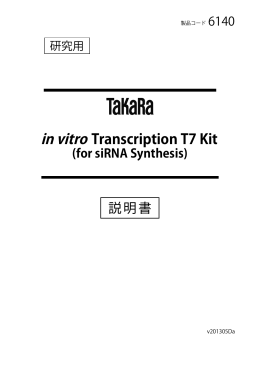 in vitro Transcription T7 Kit (for siRNA Synthesis)