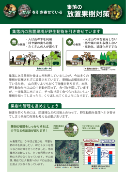 放置果樹対策 - 兵庫県森林動物研究センター