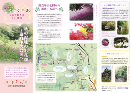 てくてく日和 秋の湿地のお花畑～鎌倉中央公園
