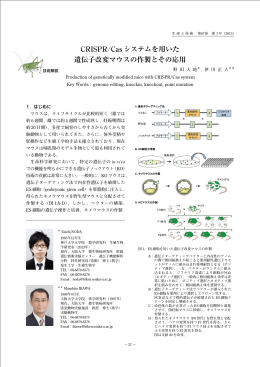 CRISPR/Cas システムを用いた 遺伝子改変マウスの作製とその応用