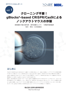 gBlocks®-based CRISPR/Cas9による ノックアウトマウスの作製