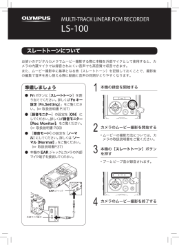 LS-100 スレートトーンについて