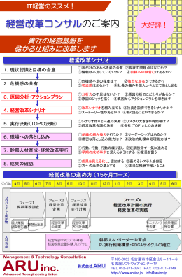 経営改革コンサルティング(pdf 295KB)