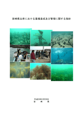 宮崎県沿岸における藻場造成及び管理に関する指針（PDF：1769KB）