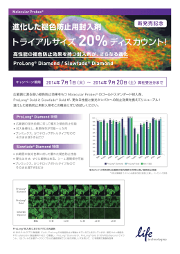 トライアルサイズ 20%ディスカウント！