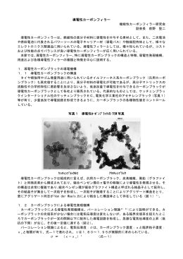 導電性カーボンフィラー - 機能性カーボンフィラー研究会
