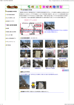 資料2補足名勝小金井桜大復活祭（PDF：331KB）