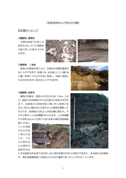 『釧路湿原および周辺の地層』 各地層のトピック