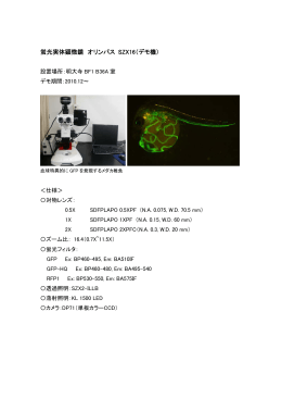 蛍光実体顕微鏡 オリンパス SZX16（デモ機）