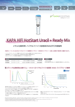 KAPA HiFi HotStart Uracil + ReadyMix/日本語