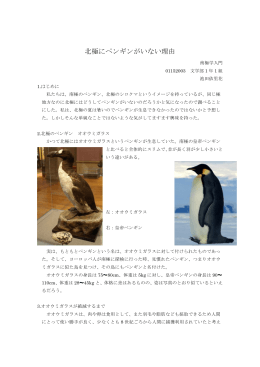 北極にペンギンがいない理由 - livedoor Blog