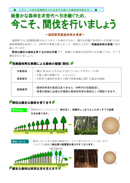 ～福岡県荒廃森林再生事業～ 荒廃森林再生事業による森林の整備