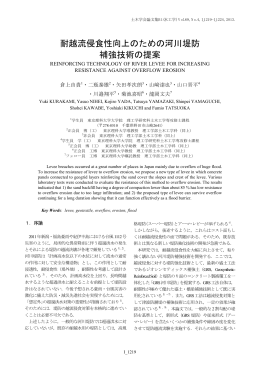 耐越流侵食性向上のための河川堤防 補強技術の提案