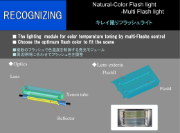 Natural-Color Flash light - Stanley Electronic Components