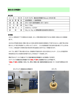 暴走反応熱量計