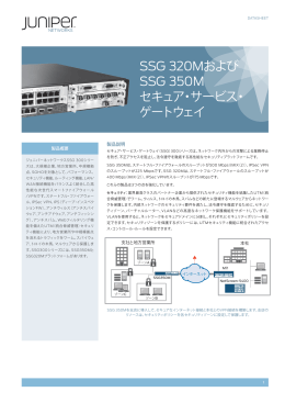 SSG320M and SSG350M Secure Services