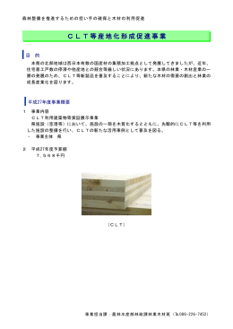 （11）CLT等産地化形成促進事業 [PDFファイル／40KB]