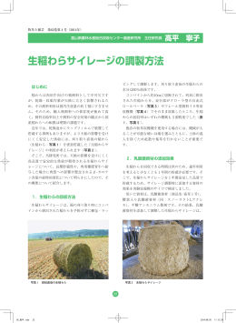 生稲わらサイレージの調製方法