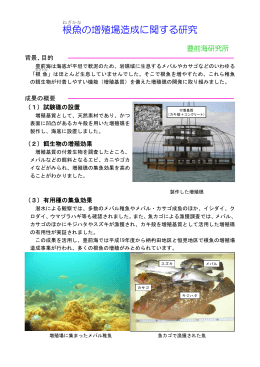 根魚の増殖場造成に関する研究