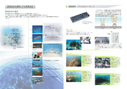 藻場造成を確実にする要素技術