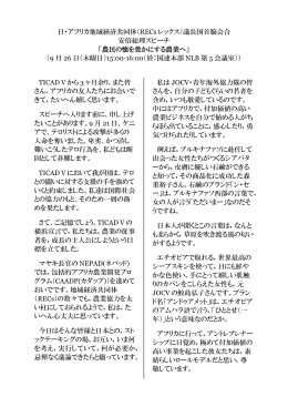 日本語（PDF）