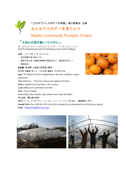 みんなでカボチャを育てよう Niseko Community Pumpkin Project