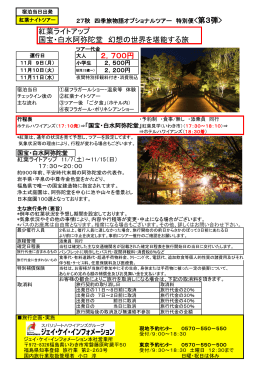 紅葉ライトアップ 国宝・白水阿弥陀堂 幻想の世界を堪能する旅 2，700円